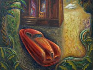 Automobile in giardino 